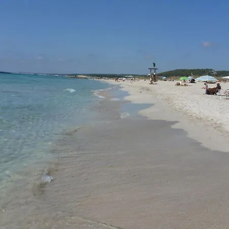 Torre Soli Nou Sleeps 4 アパート