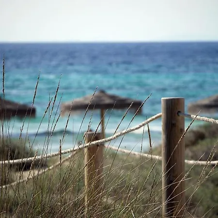 דירה Torre Soli Nou Sleeps 4 *